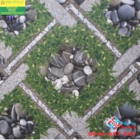 Gạch sân vườn 50x50 vitto 3786