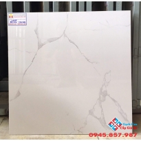 Gạch lát nền 60x60 primer cao cấp 12044