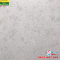 đá bóng kiếng toàn phần 60x60 prime 9150