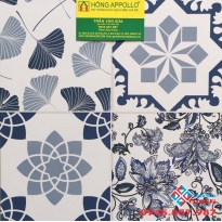 Gạch bông prime 30x30 giá rẻ miền tây