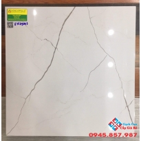 Gạch cao cấp lát nền 60x60 ý mỹ 69003