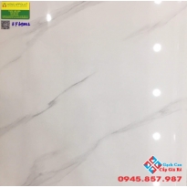 Đá bóng kiếng lát nền 60x60 ý mỹ 69002