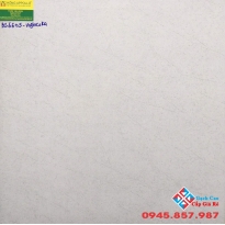 Gạch men mờ 60x60 viglacera BS6605