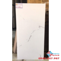 Gạch cao cấp 40x80 ốp tường 8609