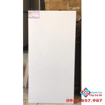 Gạch ốp tường 40x80 trắng trơn
