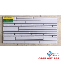 Gạch trang trí giá rẻ 25x50 ốp tường