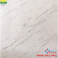Đá bóng kiếng 80x80 kis FB8801