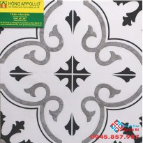 gạch bông hoa văn cổ điển 30x30