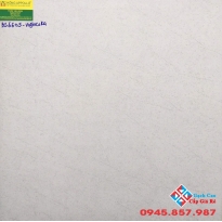 Gạch men mờ 60x60 viglacera BS6605