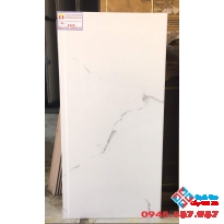 Gạch cao cấp 40x80 ốp tường 8609