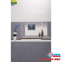 Gạch ốp tường 30x60 cao cấp