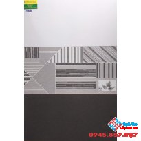 Gạch mờ ốp tường giá rẻ 30x60