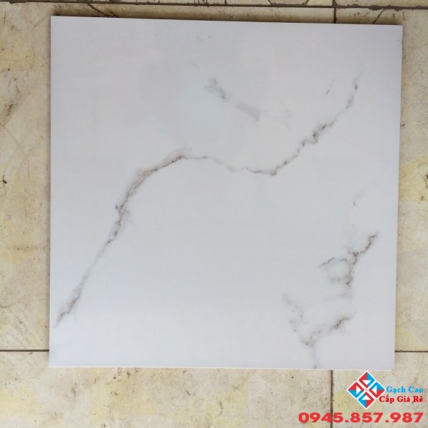 Gạch lát nền 50x50 loại 1 sale giá rẻ hôm nay (03)