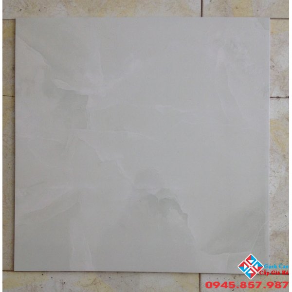 Gạch lát nền 50x50 Primer loại 1 kho thế giới gạch rẻ