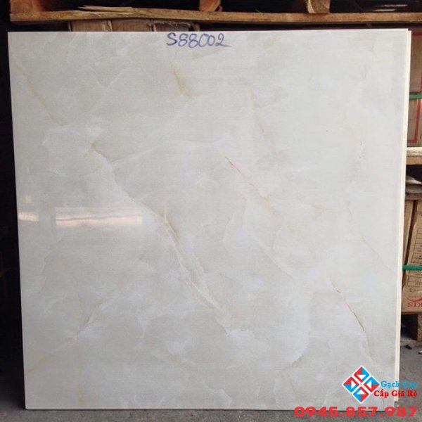 800x800 giá rẻ (03)