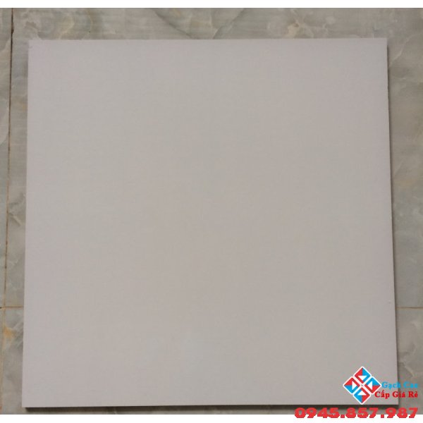 GẠCH LÁT NỀN 50X50 TRẮNG TRƠN SALE