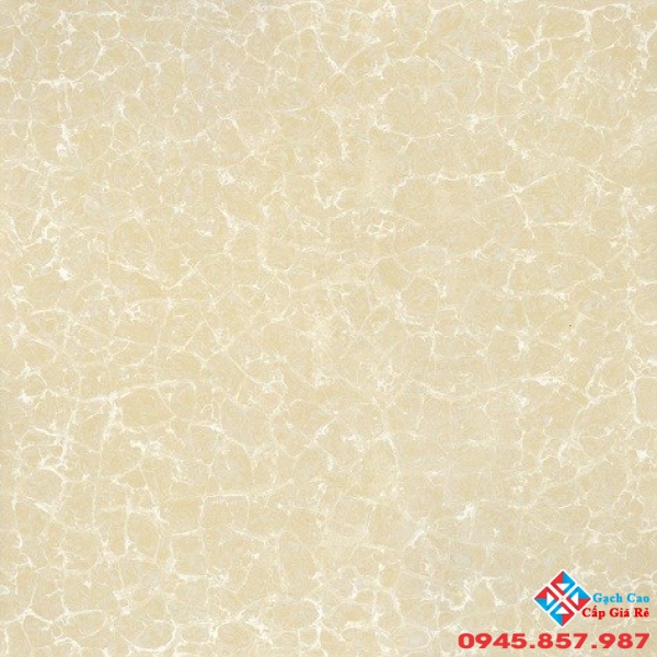 Gạch Ý Mỹ 800x800 Mạng nhện vàng 2 da