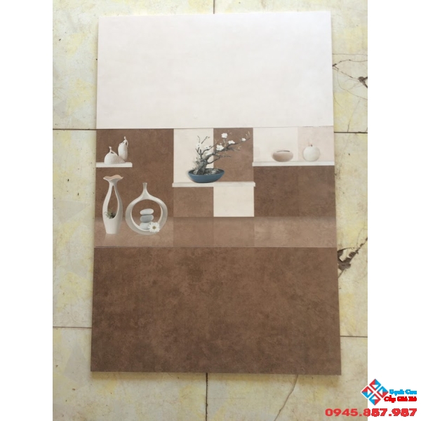 GẠCH ỐP 30X60 TASA GIÁ RẺ (02)