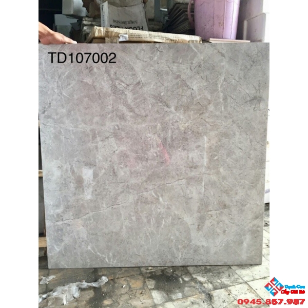 GẠCH BÓNG KIẾNG 1MX1M 107002