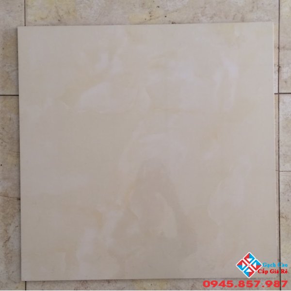 Gạch lát nền 50x50 tasa sale giá rẻ hôm nay (02)