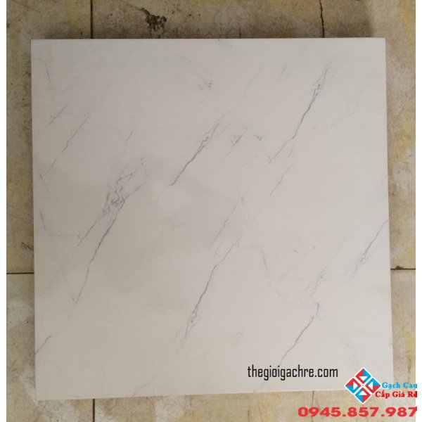 Gạch lát nền 50x50 primer loại 1sale giá rẻ (01)