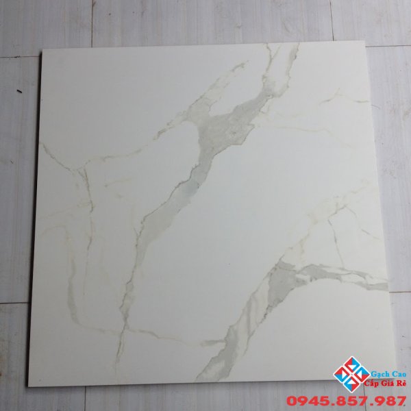 Đá bóng kiếng 80x80 hàng sale CATALAN giá rẻ-Quận 7
