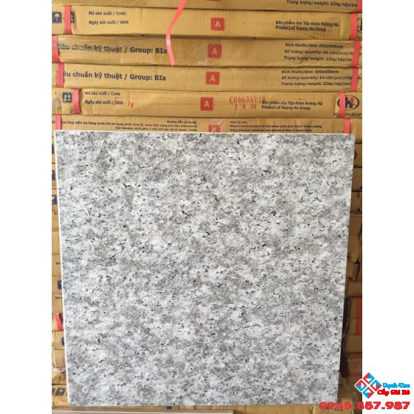 GẠCH LÁT NỀN 50X50 SALE (01)