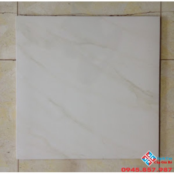 Gạch lát nền 50x50 Primer sale giá rẻ nhất