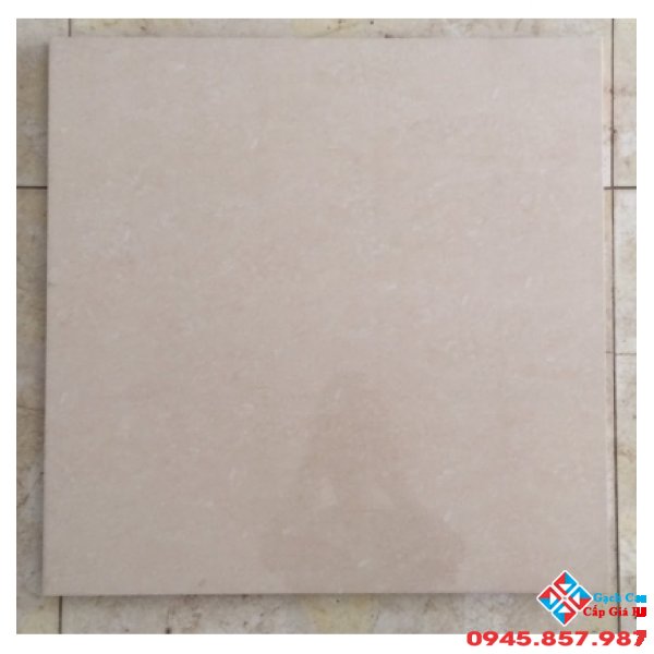 Gạch lát nền 50x50 tasa sale giá rẻ hôm nay (01)