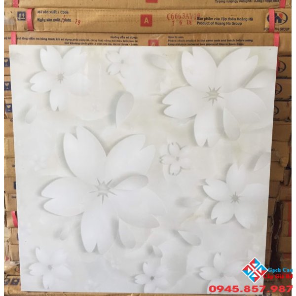 GẠCH LÁT NỀN 50X50 SALE (02)