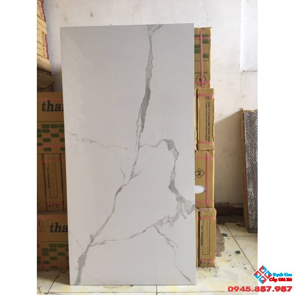 GẠCH BÓNG KIẾNG 60X120 MÃ (9)