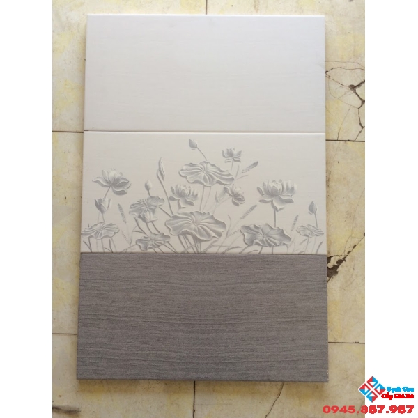 GẠCH ỐP 30X60 TASA GIÁ RẺ (01)