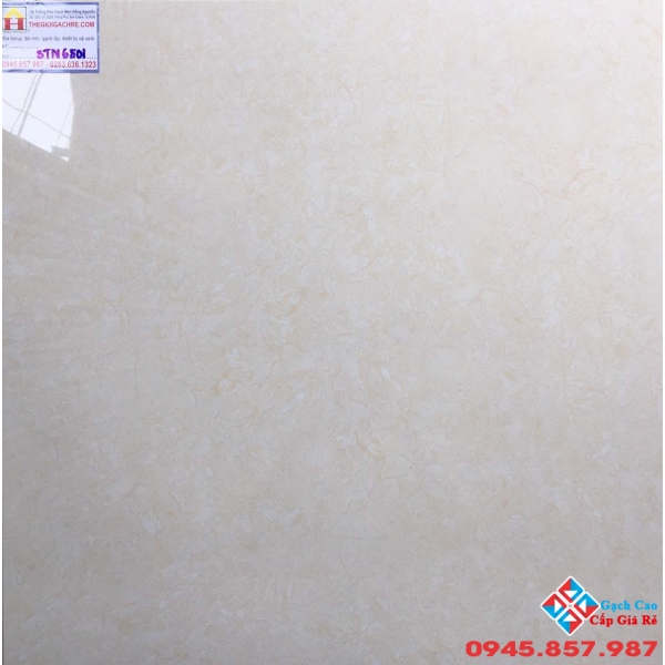 Gạch Lát Nền 60x60 Tasa STN6501