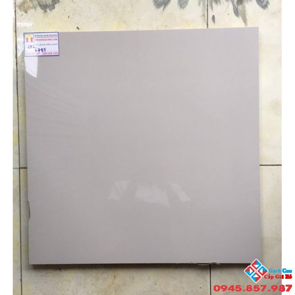 ĐÁ BÓNG KIẾNG 60X60 CATALAN 6785