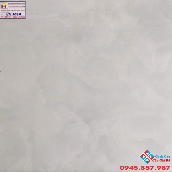 Gạch Lát Nền 60x60 Tasa STN6504