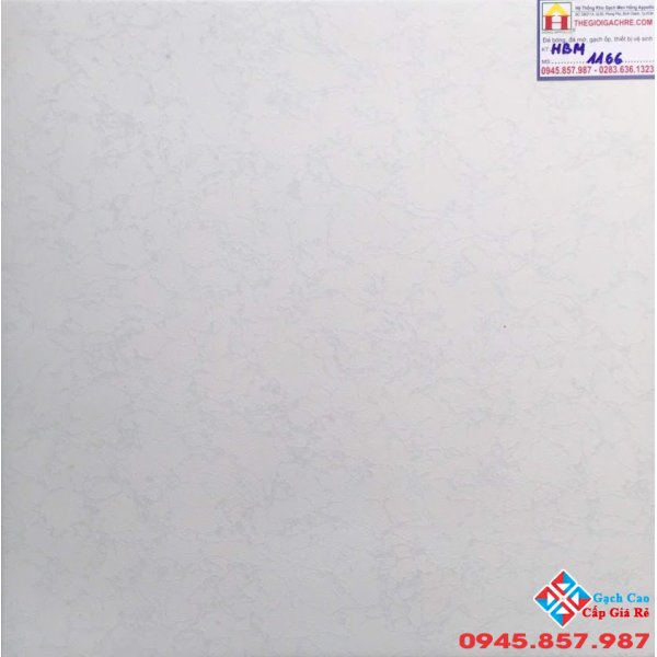 GẠCH LÁT NỀN 50X50 GIÁ RẺ 1166