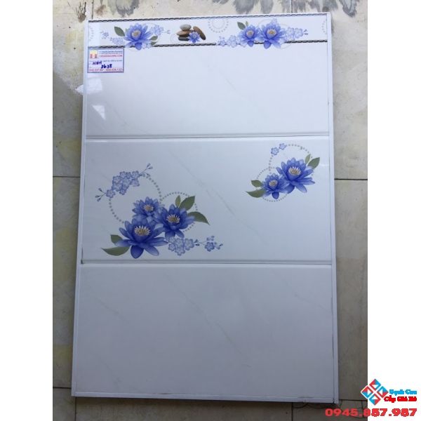 Gạch Ốp Tường 30X60 CMC 3638