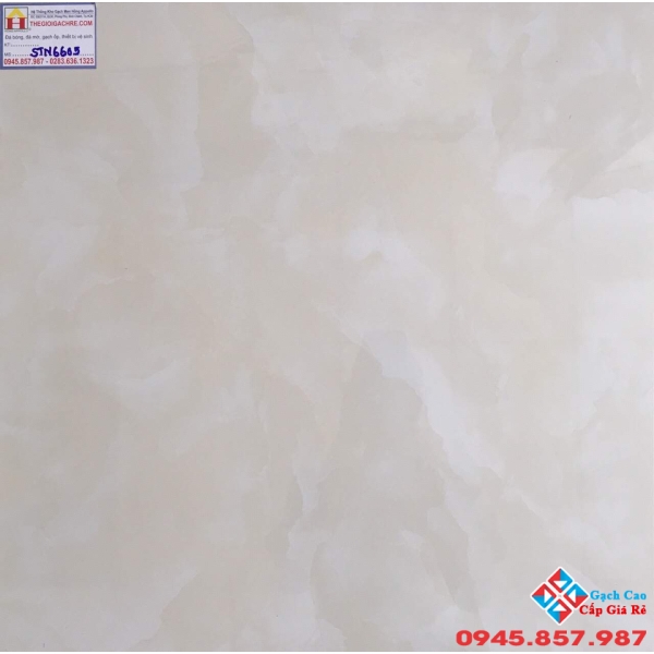 Gạch Lát Nền  60x60 Tasa STN6605