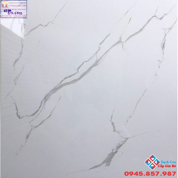 Gạch Lát Nền 60x60  Trắng Mây Tasa STN6503