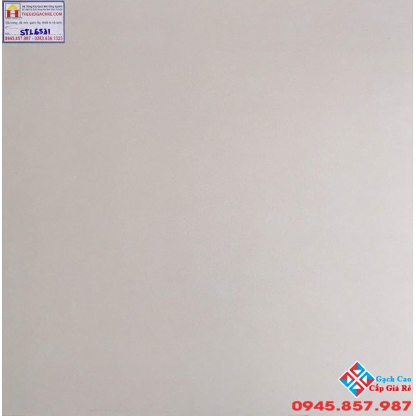 Gạch Lát Nền Đá Mờ 60x60 Tasa STN6531