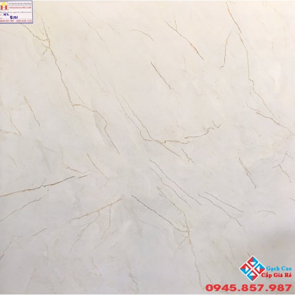 ĐÁ BÓNG KIẾNG 80X80 TRUNG QUỐC 8101