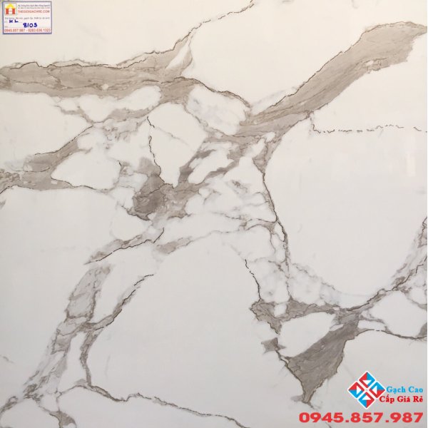 ĐÁ BÓNG KIẾNG 80X80 TRUNG QUỐC 8103