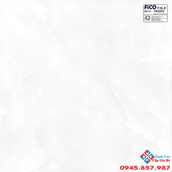 GẠCH LÁT NỀN 60X60 GIÁ RẺ TPHCM