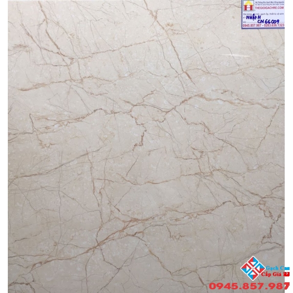 GẠCH LÁT NỀN 60X60 GIÁ RẺ CN66009