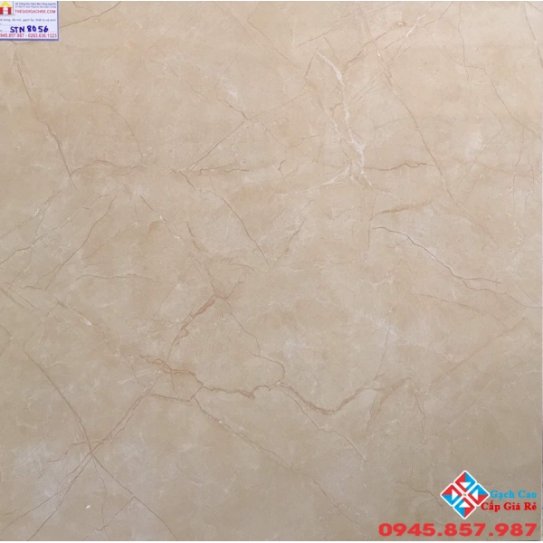 Gạch Lát Nền 80x80 Tasa STN 8056