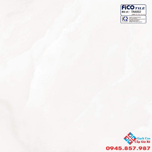 GẠCH LÁT 60X60 GIÁ RẺ FICO TA6002