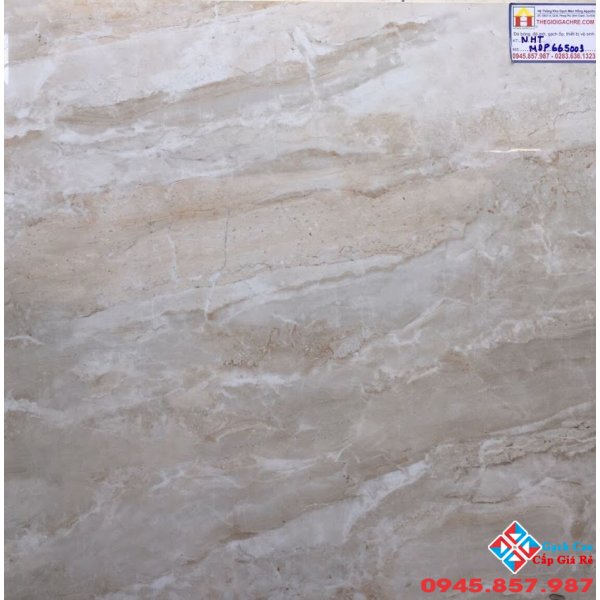 ĐÁ BÓNG KIẾNG 60X60 VIGLACERA MỸ ĐỨC P665003