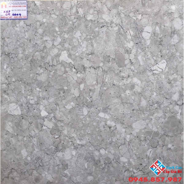 GẠCH LÁT NỀN GIÁ RẺ 60X60 NANO PHỦ BÓNG KIẾNG