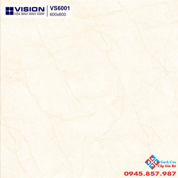 GẠCH BÓNG KIẾNG 60X60 (01)