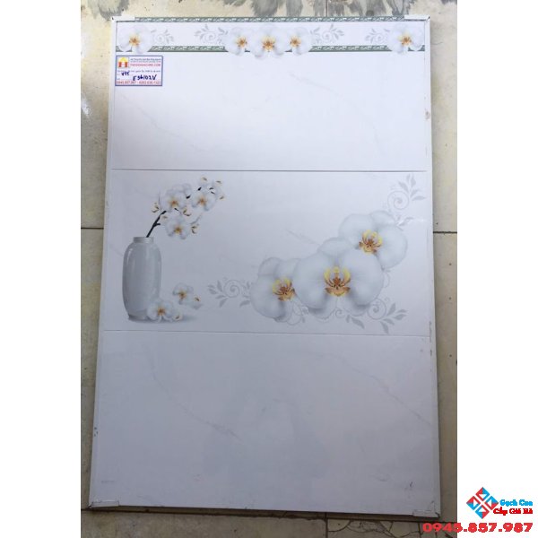 Gạch Ốp Tường 30X60 Giá rẻ E 36102V